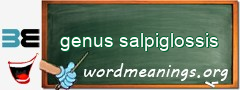 WordMeaning blackboard for genus salpiglossis